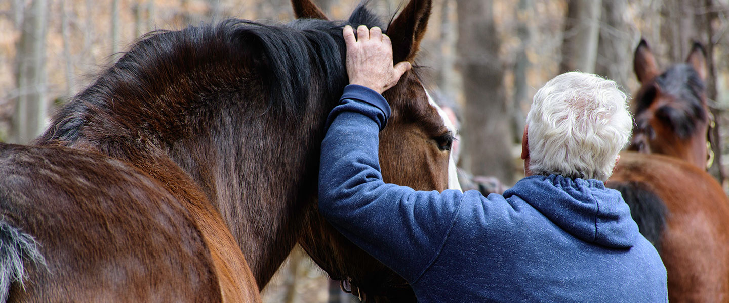 'Horses and Humans Improving Lives'
